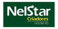 Nelstar Criadores